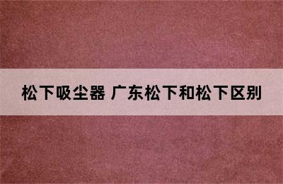 松下吸尘器 广东松下和松下区别